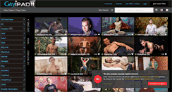 Desktop Screenshot of gayipad.com