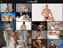 Tablet Screenshot of gayipad.com